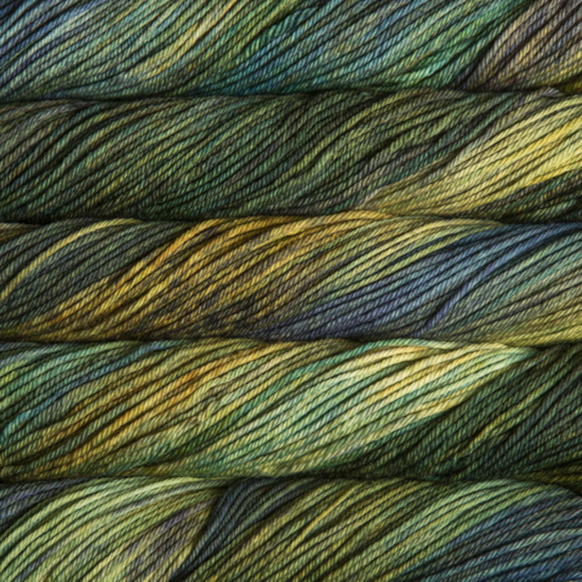 Malabrigo Rios yarn in Hojas