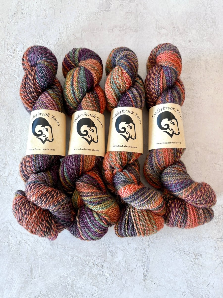 Feederbrook Farm Entropy DK — Helix colorway; skeins shown for color variation