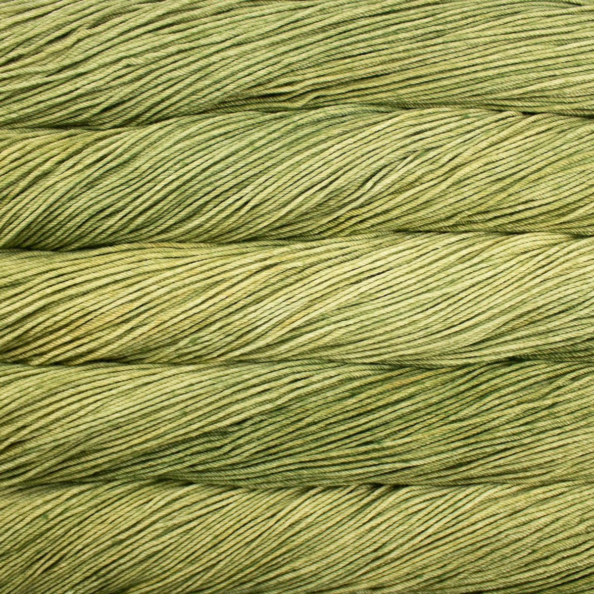 Malabrigo Rios yarn in Yerba