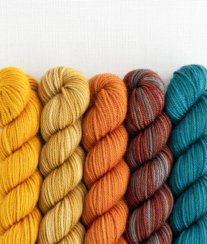 Party of 5 Tough Love Sock Sweet Georgia Yarns — Farm to Table