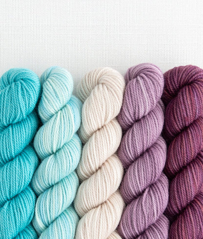 Party of 5 Tough Love Sock Sweet Georgia Yarns — Frozen Blueberry