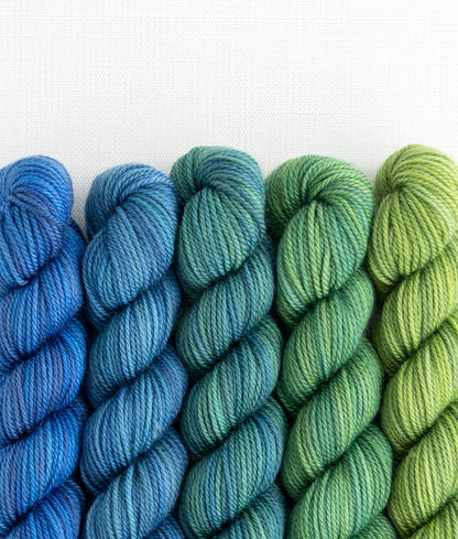 Party of 5 Tough Love Sock Sweet Georgia Yarns — Sea to Sky