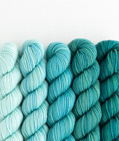 Party of 5 Tough Love Sock Sweet Georgia Yarns — Swell