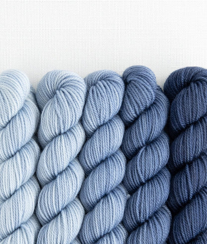 Party of 5 Tough Love Sock Sweet Georgia Yarns — Voyage